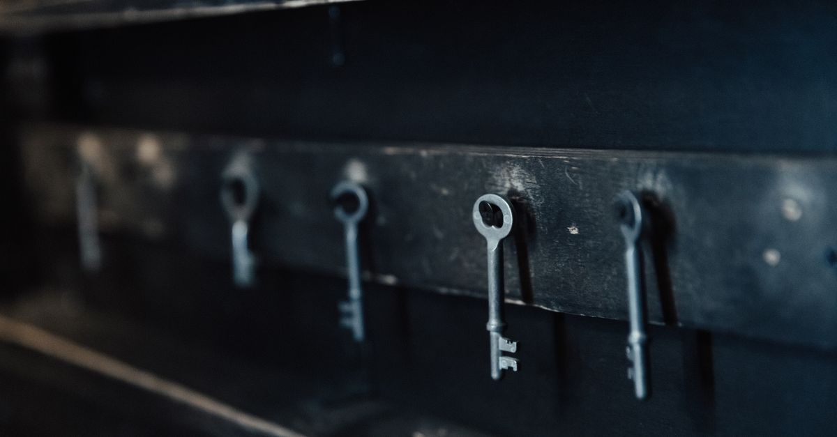 front door lock key — Naperville Pro Locksmiths