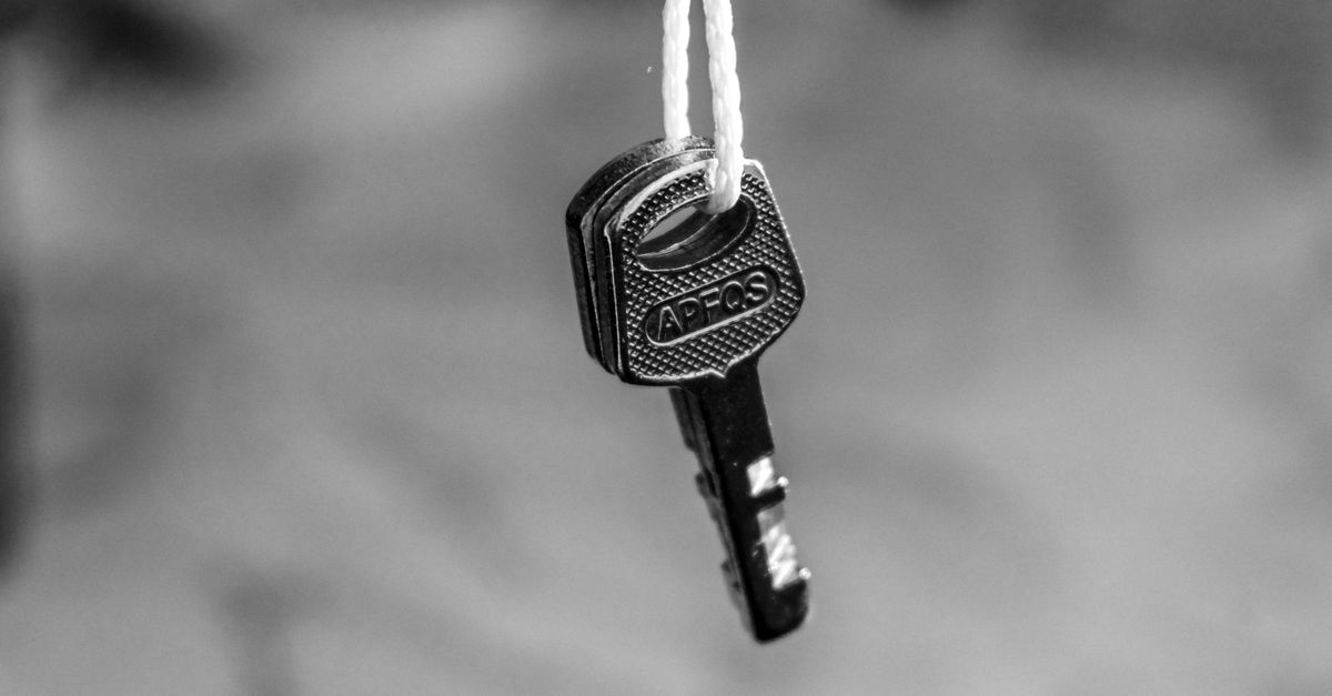 What Our House Lockout Service Actually Involves — and Why Technique Matters — Naperville Pro Locksmiths